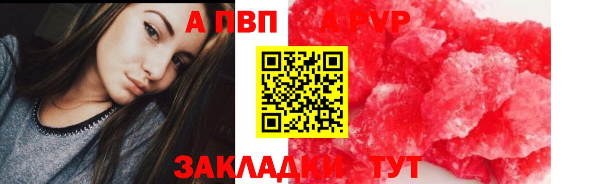 Alfa_PVP СК КРИС Верхняя Пышма