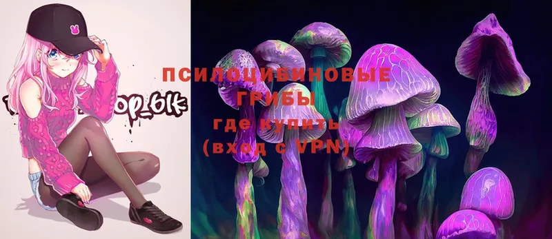 omg маркетплейс  Верхняя Пышма  Псилоцибиновые грибы MAGIC MUSHROOMS 