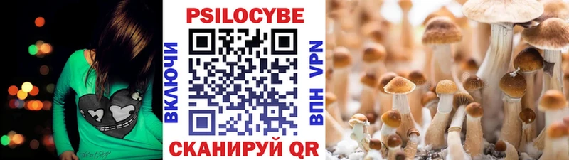 наркота  Верхняя Пышма  мега сайт  Галлюциногенные грибы мицелий 