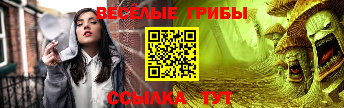 Псилоцибиновые грибы Psilocybine cubensis Верхняя Пышма